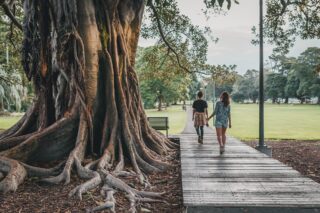 People walking by a tree in a park