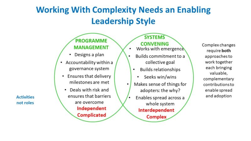 Diagram depicting main activities of Working With Complexity Needs, an Enabling Leadership Style
